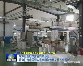 年產值20億元包裝產業園崛起，26家包裝印刷廠共筑產業新高地